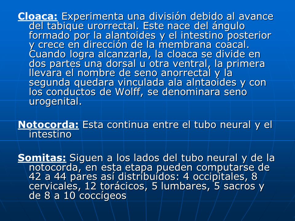 Cloaca: Experimenta una división debido al avance del tabique urorrectal. Este nace del ángulo formado por la alantoides y el intestino posterior y crece en dirección de la membrana coacal. Cuando logra alcanzarla, la cloaca se divide en dos partes una dorsal u otra ventral, la primera llevara el nombre de seno anorrectal y la segunda quedara vinculada ala alntaoides y con los conductos de Wolff, se denominara seno urogenital.