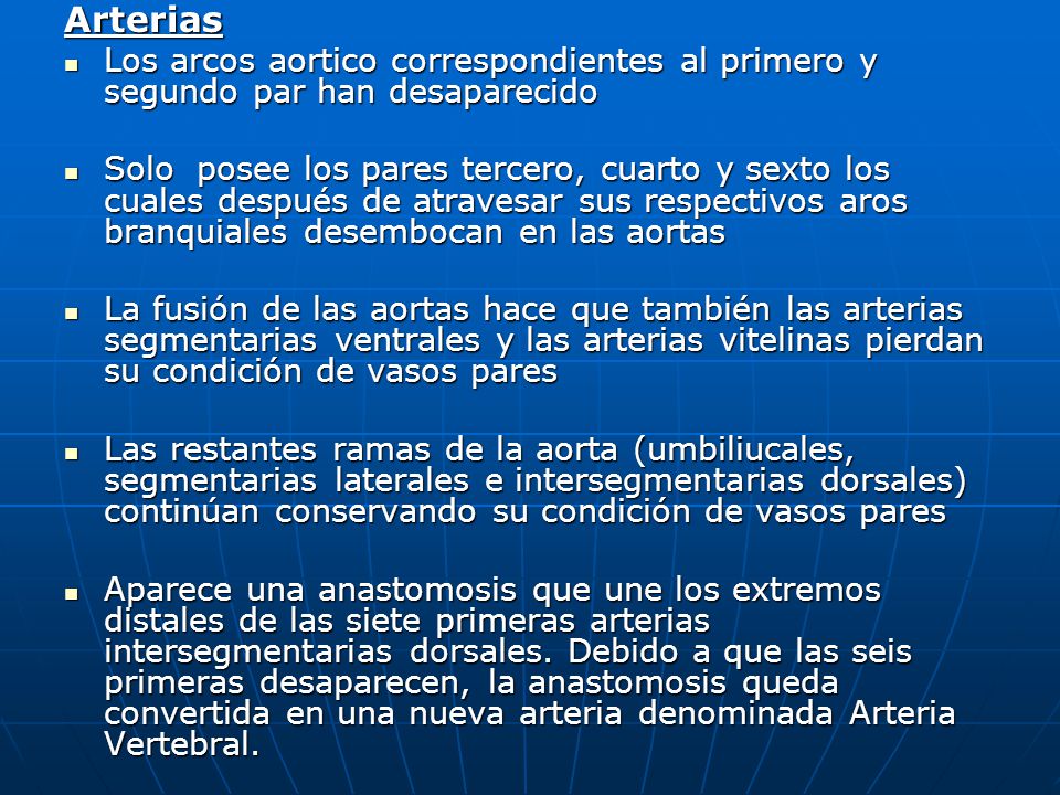 Arterias Los arcos aortico correspondientes al primero y segundo par han desaparecido.