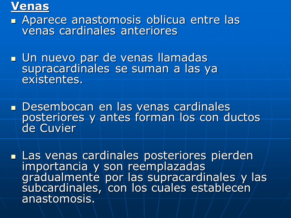 Venas Aparece anastomosis oblicua entre las venas cardinales anteriores.