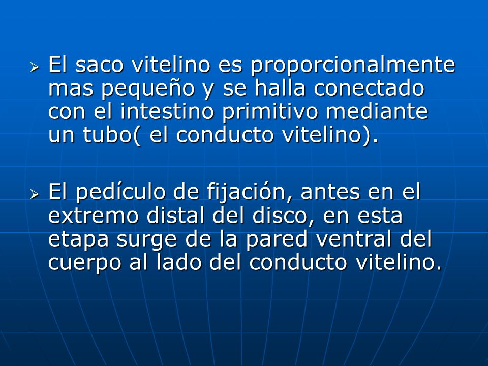 El saco vitelino es proporcionalmente mas pequeño y se halla conectado con el intestino primitivo mediante un tubo( el conducto vitelino).