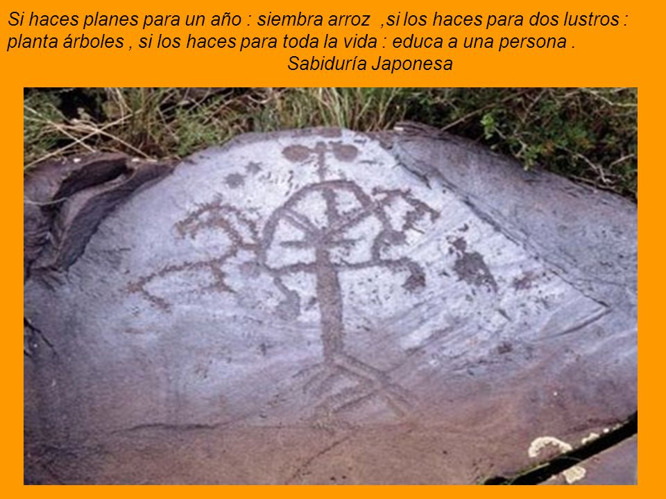 Si haces planes para un año : siembra arroz ,si los haces para dos lustros : planta árboles , si los haces para toda la vida : educa a una persona .