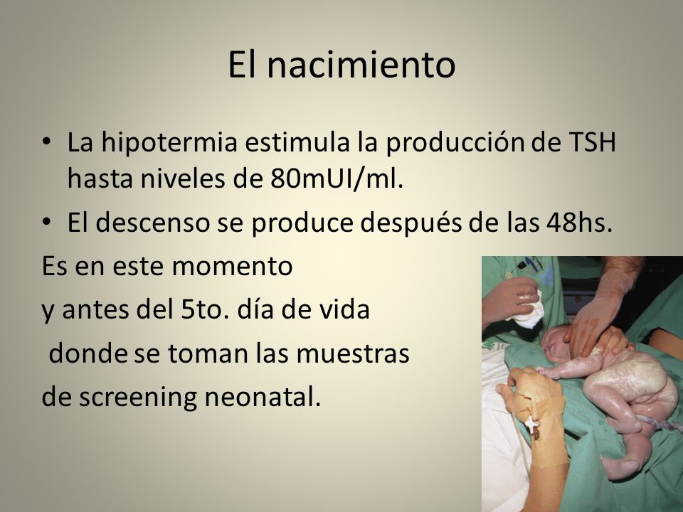 El nacimiento La hipotermia estimula la producción de TSH hasta niveles de 80mUI/ml. El descenso se produce después de las 48hs.