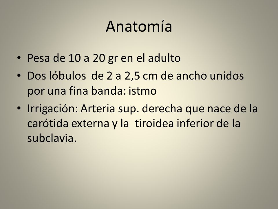 Anatomía Pesa de 10 a 20 gr en el adulto