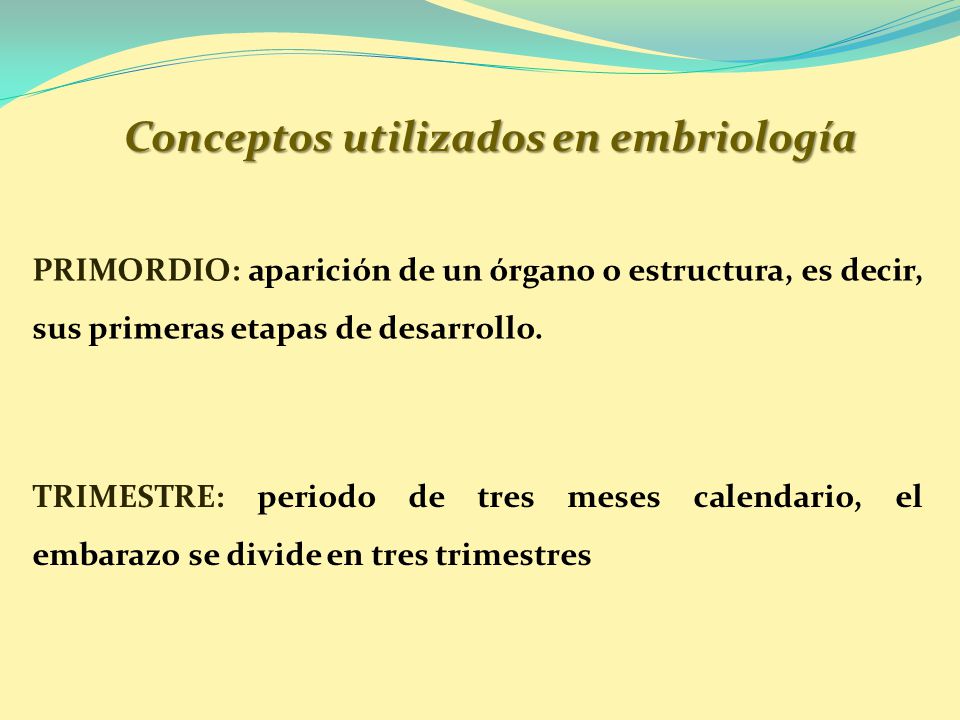 Conceptos utilizados en embriología