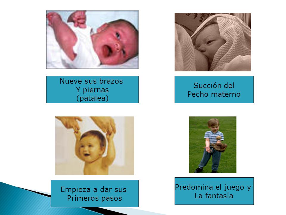 Nueve sus brazos Y piernas. (patalea) Succión del. Pecho materno. Predomina el juego y. La fantasía.