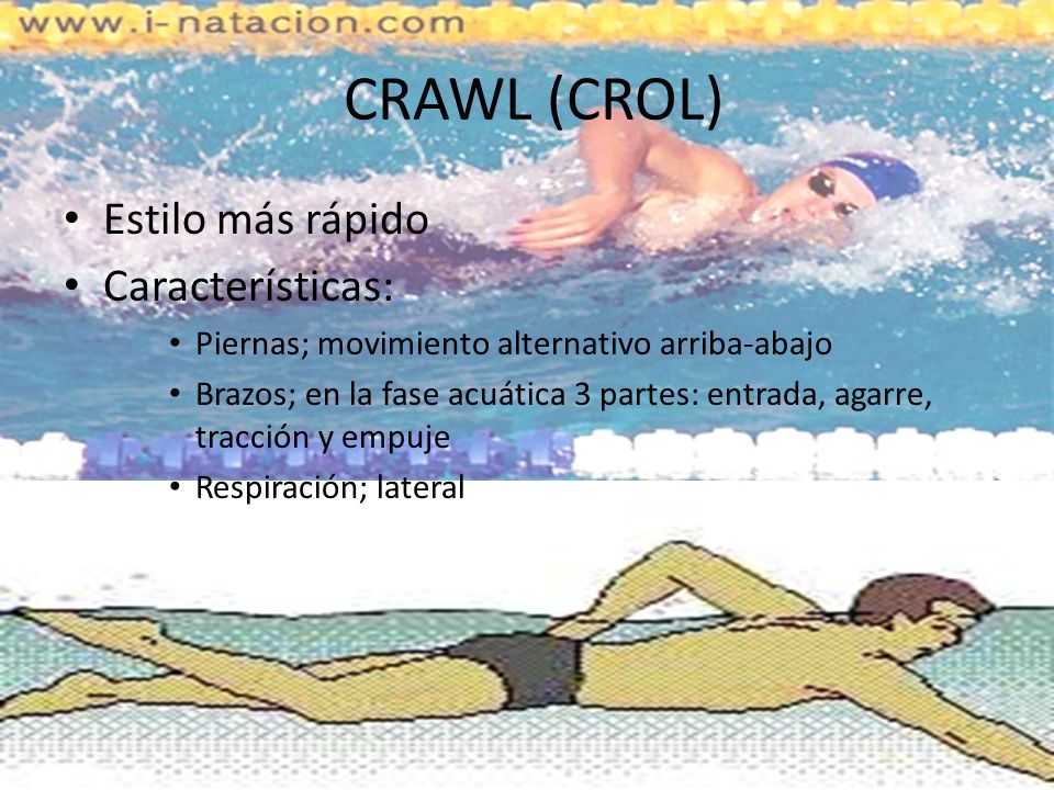 CRAWL (CROL) Estilo más rápido Características: