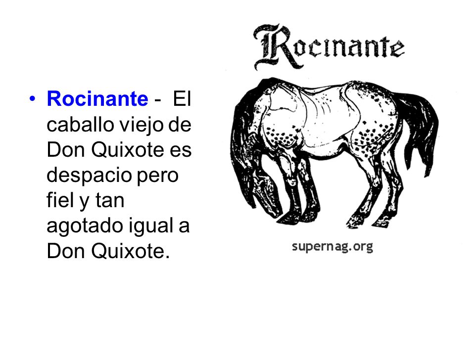 Rocinante - El caballo viejo de Don Quixote es despacio pero fiel y tan agotado igual a Don Quixote.