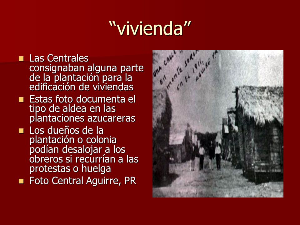 vivienda Las Centrales consignaban alguna parte de la plantación para la edificación de viviendas.