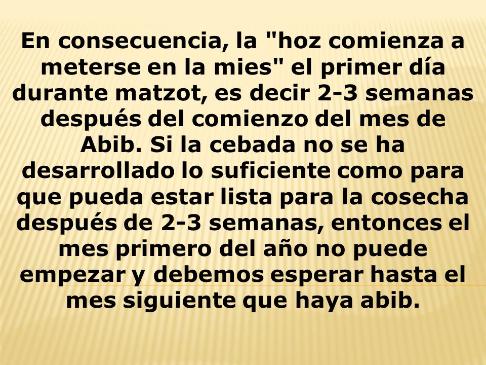 En consecuencia, la hoz comienza a meterse en la mies el primer día durante matzot, es decir 2-3 semanas después del comienzo del mes de Abib.