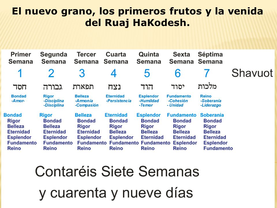El nuevo grano, los primeros frutos y la venida del Ruaj HaKodesh.