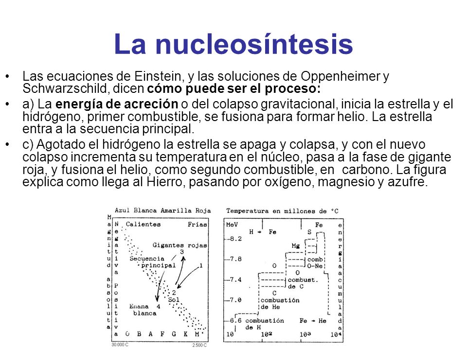 La nucleosíntesis Las ecuaciones de Einstein, y las soluciones de Oppenheimer y Schwarzschild, dicen cómo puede ser el proceso: