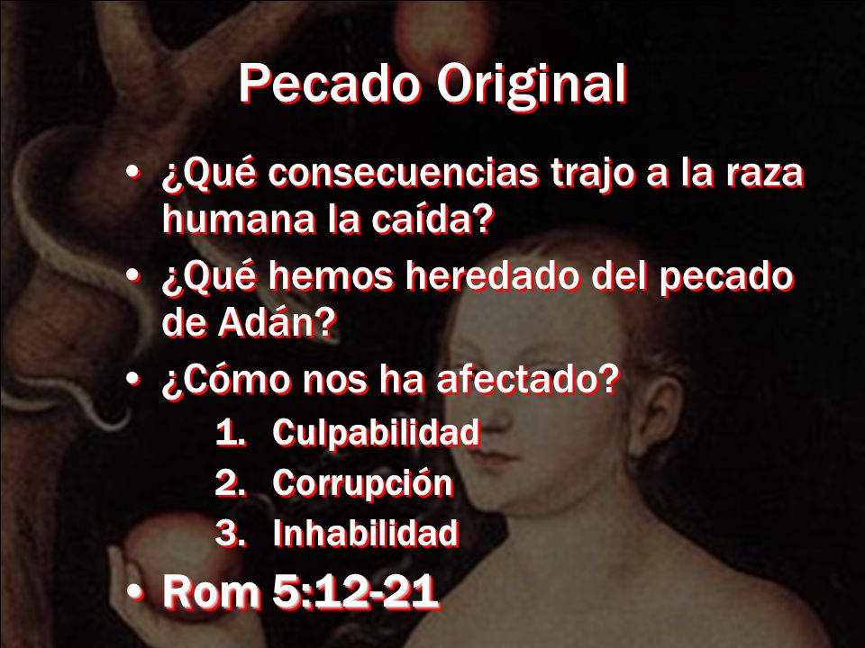 Pecado Original ¿Qué consecuencias trajo a la raza humana la caída ¿Qué hemos heredado del pecado de Adán