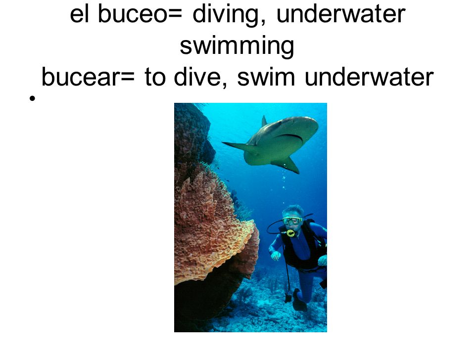 el buceo= diving, underwater swimming bucear= to dive, swim underwater