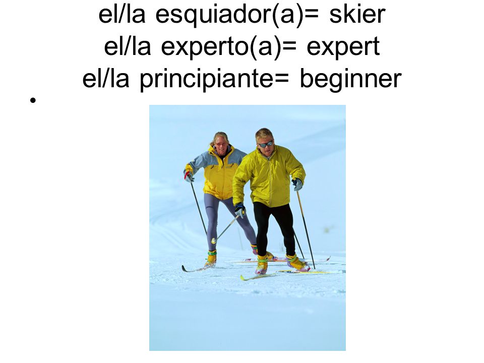 el/la esquiador(a)= skier el/la experto(a)= expert el/la principiante= beginner