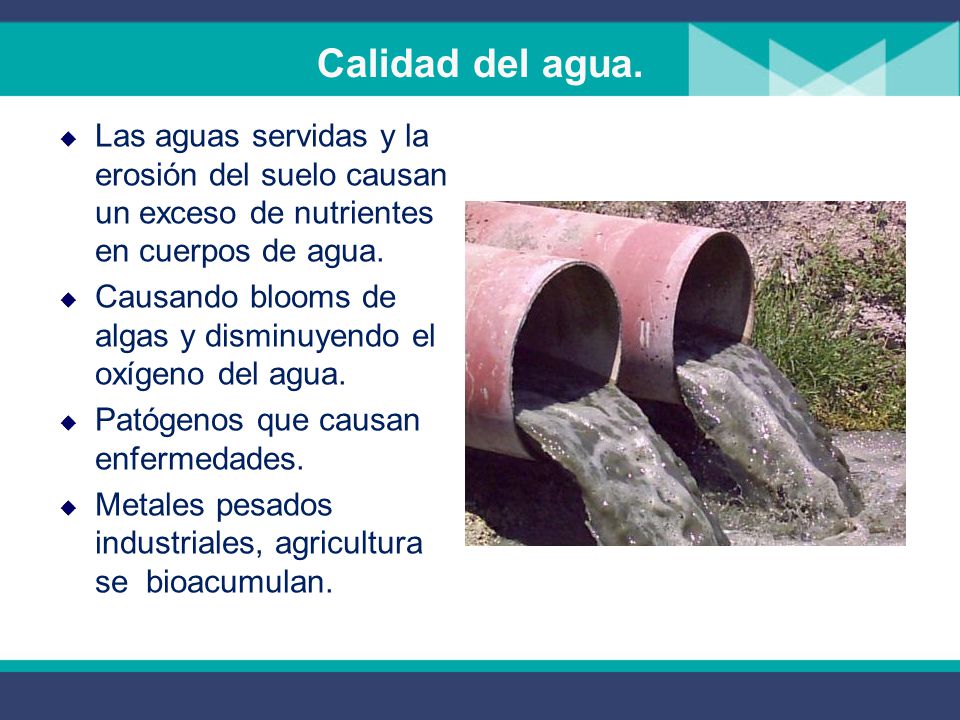 Calidad del agua. Las aguas servidas y la erosión del suelo causan un exceso de nutrientes en cuerpos de agua.