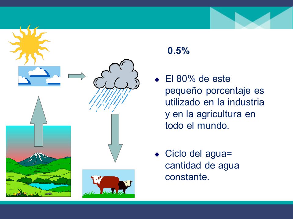 0.5% El 80% de este pequeño porcentaje es utilizado en la industria y en la agricultura en todo el mundo.