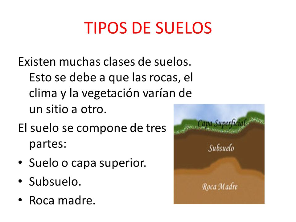 TIPOS DE SUELOS Existen muchas clases de suelos. Esto se debe a que las rocas, el clima y la vegetación varían de un sitio a otro.