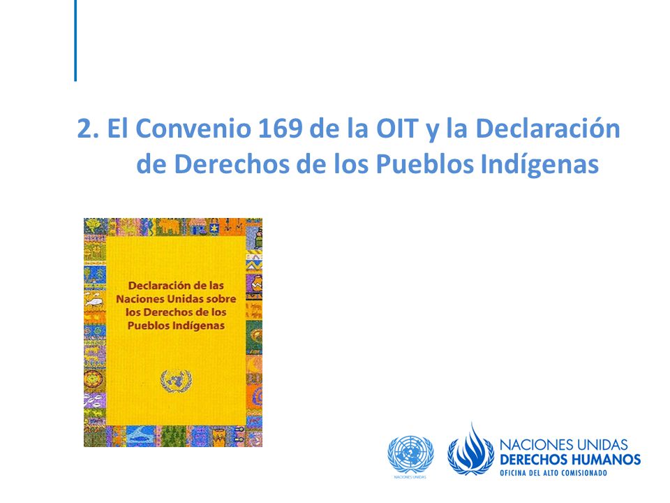 2. El Convenio 169 de la OIT y la Declaración de Derechos de los Pueblos Indígenas