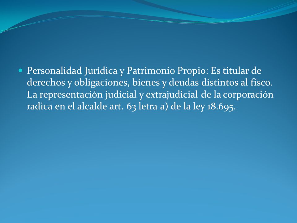 Personalidad Jurídica y Patrimonio Propio: Es titular de derechos y obligaciones, bienes y deudas distintos al fisco.