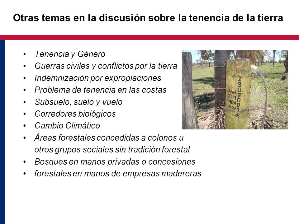 Otras temas en la discusión sobre la tenencia de la tierra