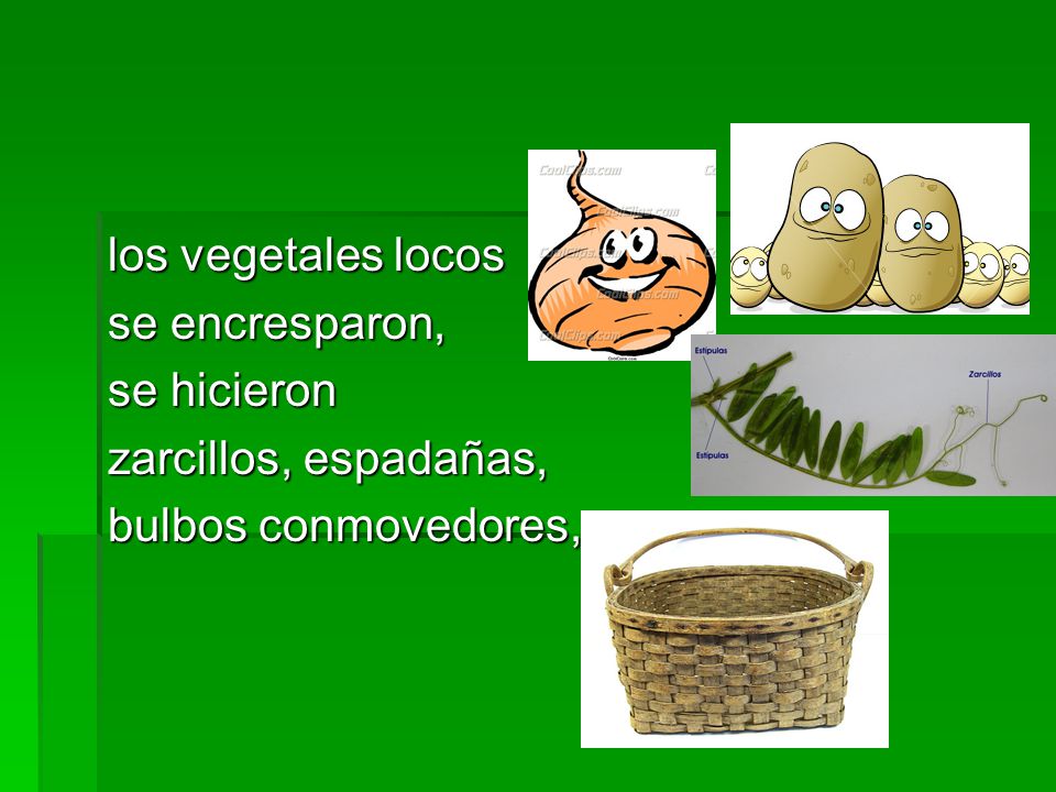los vegetales locos se encresparon, se hicieron zarcillos, espadañas, bulbos conmovedores,