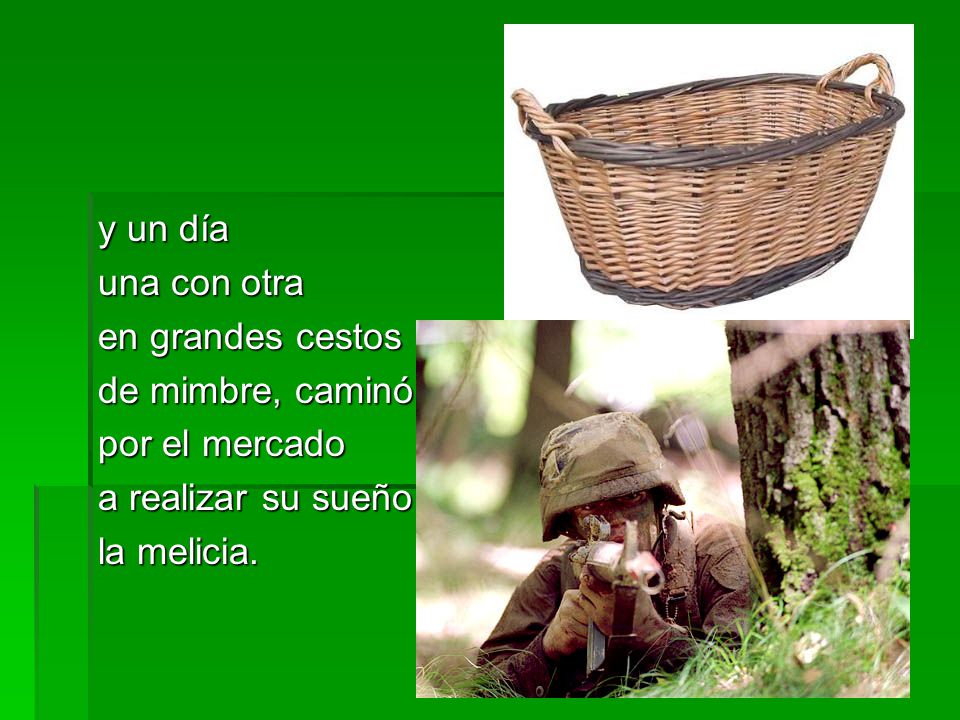 y un día una con otra. en grandes cestos. de mimbre, caminó. por el mercado. a realizar su sueño:
