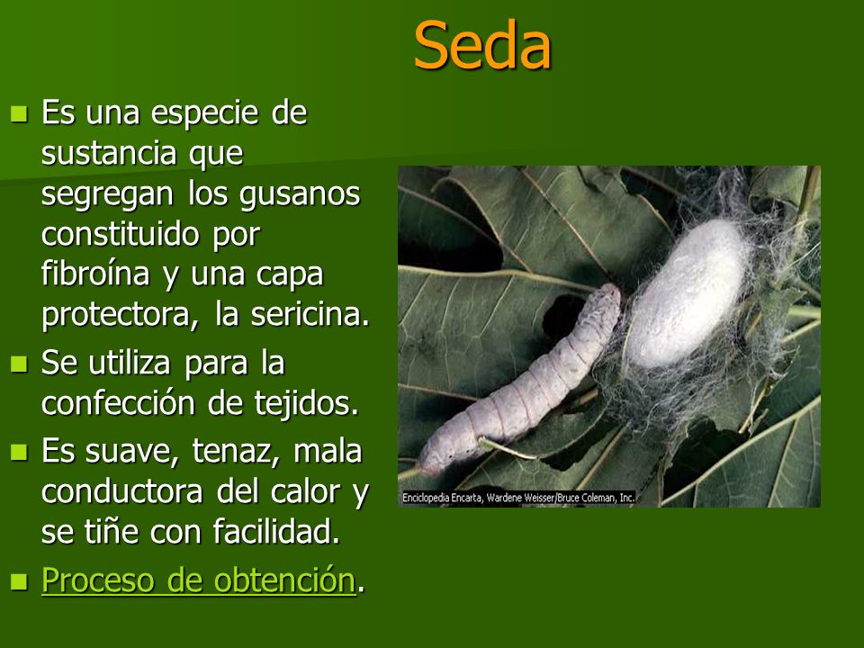 Seda Es una especie de sustancia que segregan los gusanos constituido por fibroína y una capa protectora, la sericina.