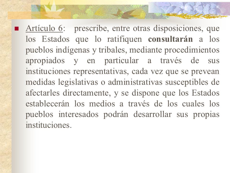 Artículo 6: prescribe, entre otras disposiciones, que los Estados que lo ratifiquen consultarán a los pueblos indígenas y tribales, mediante procedimientos apropiados y en particular a través de sus instituciones representativas, cada vez que se prevean medidas legislativas o administrativas susceptibles de afectarles directamente, y se dispone que los Estados establecerán los medios a través de los cuales los pueblos interesados podrán desarrollar sus propias instituciones.