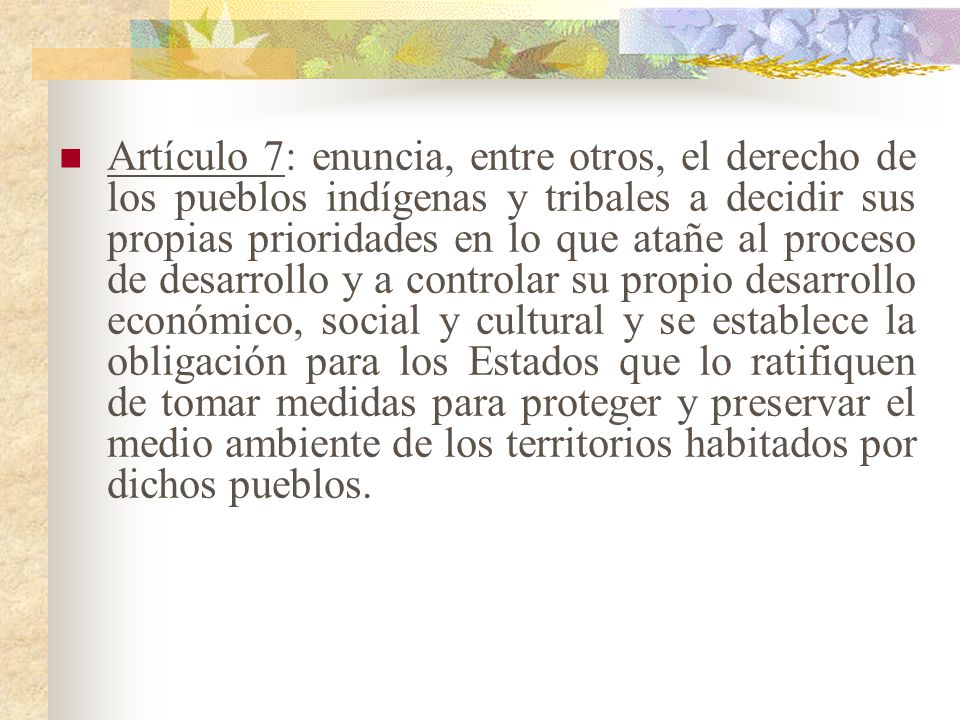 Artículo 7: enuncia, entre otros, el derecho de los pueblos indígenas y tribales a decidir sus propias prioridades en lo que atañe al proceso de desarrollo y a controlar su propio desarrollo económico, social y cultural y se establece la obligación para los Estados que lo ratifiquen de tomar medidas para proteger y preservar el medio ambiente de los territorios habitados por dichos pueblos.