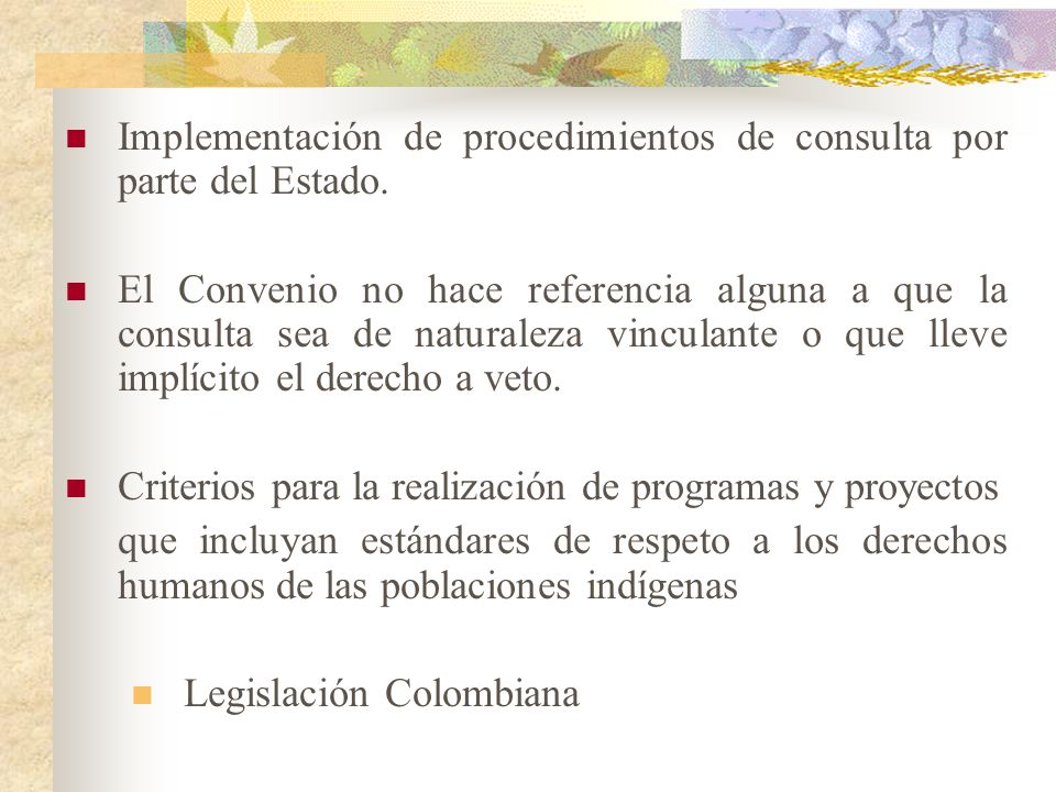 Implementación de procedimientos de consulta por parte del Estado.
