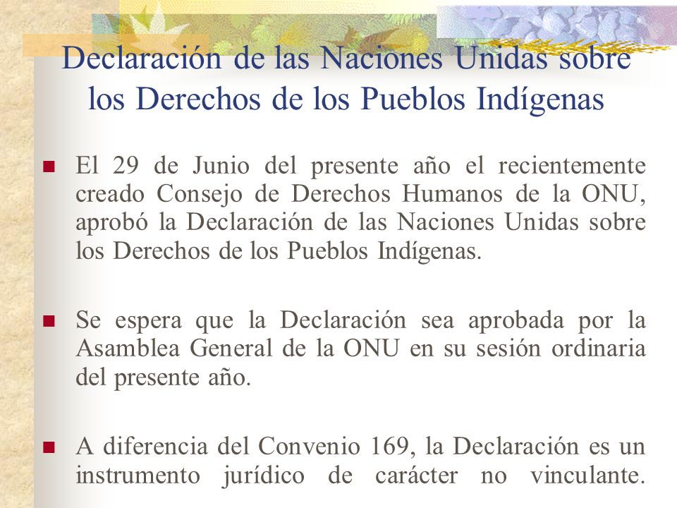 Declaración de las Naciones Unidas sobre los Derechos de los Pueblos Indígenas