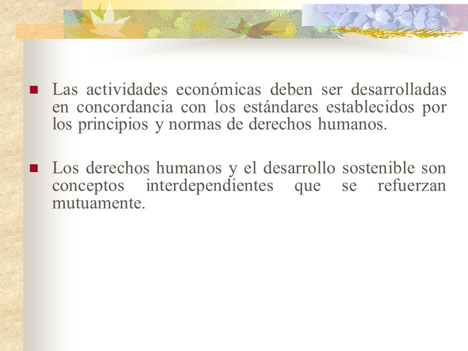 Las actividades económicas deben ser desarrolladas en concordancia con los estándares establecidos por los principios y normas de derechos humanos.