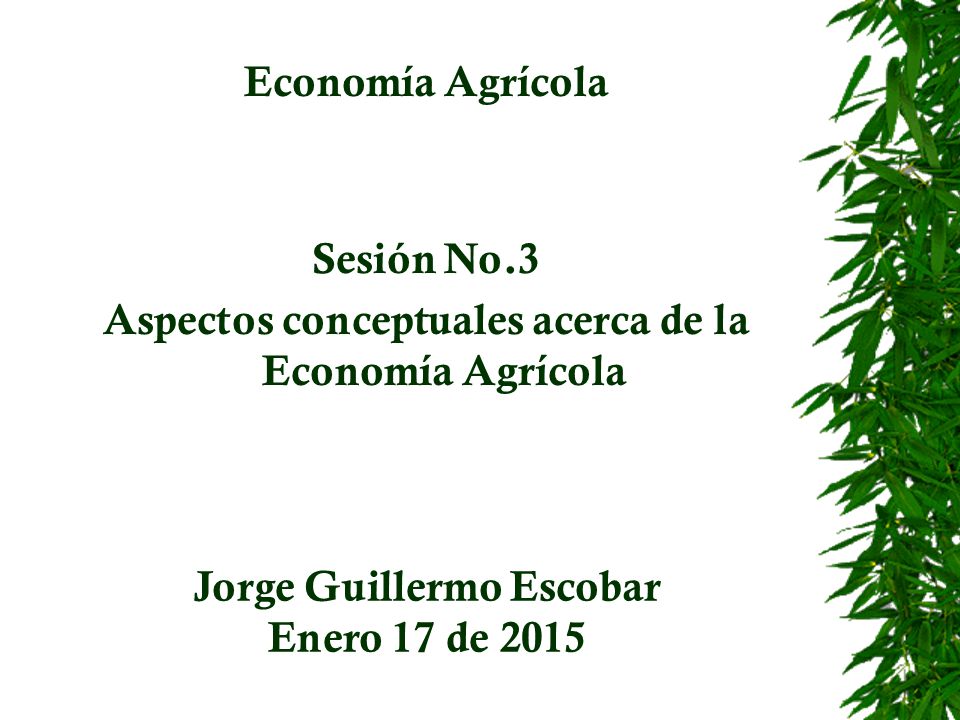 Aspectos conceptuales acerca de la Economía Agrícola