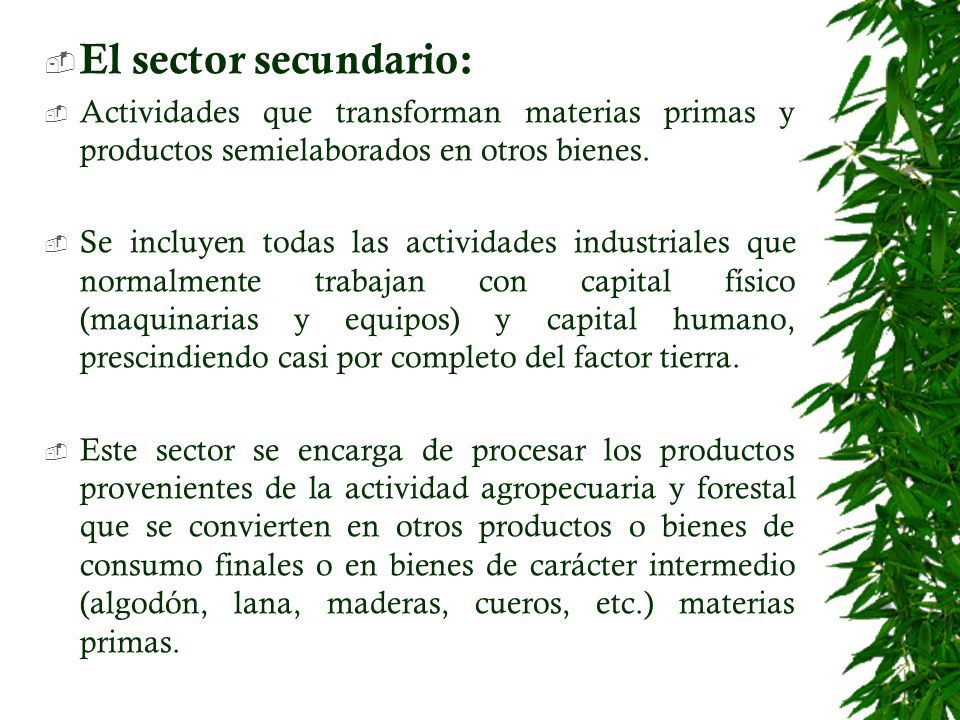 El sector secundario: Actividades que transforman materias primas y productos semielaborados en otros bienes.