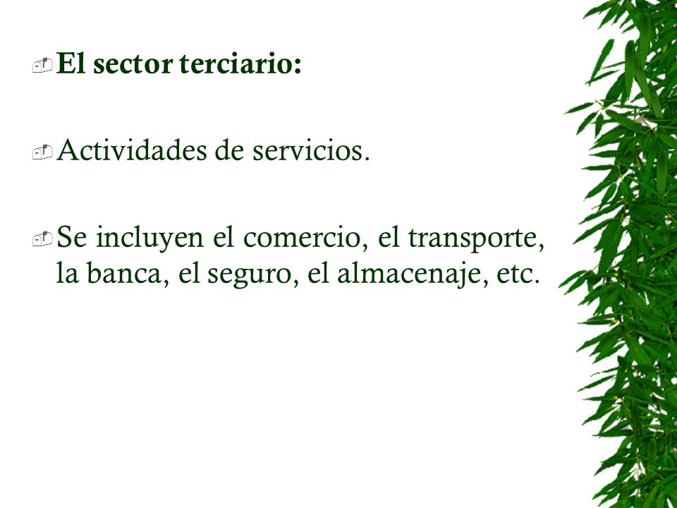 El sector terciario: Actividades de servicios.