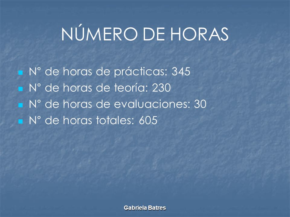 NÚMERO DE HORAS N° de horas de prácticas: 345