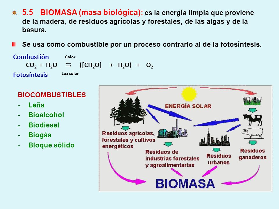 5.5 BIOMASA (masa biológica): es la energía limpia que proviene de la madera, de residuos agrícolas y forestales, de las algas y de la basura.