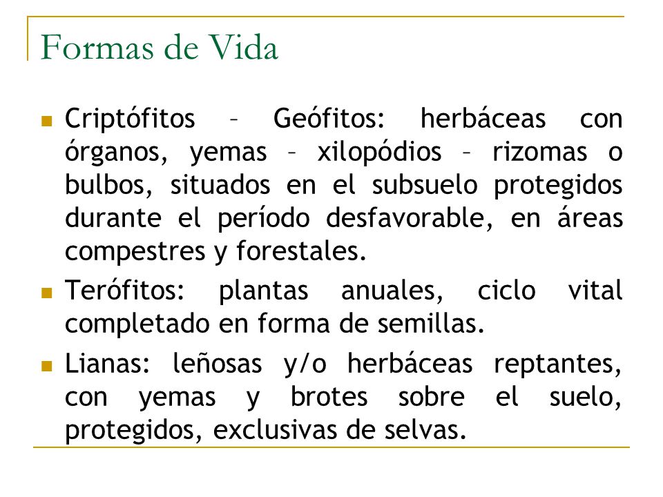 Formas de Vida
