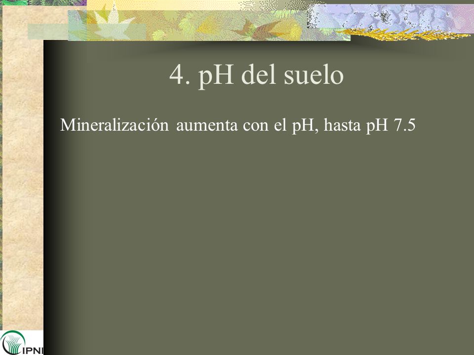 4. pH del suelo Mineralización aumenta con el pH, hasta pH 7.5