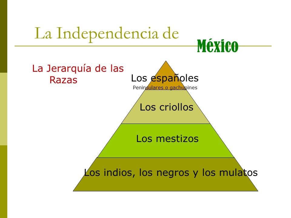 La Independencia de México La Jerarquía de las Razas Los españoles