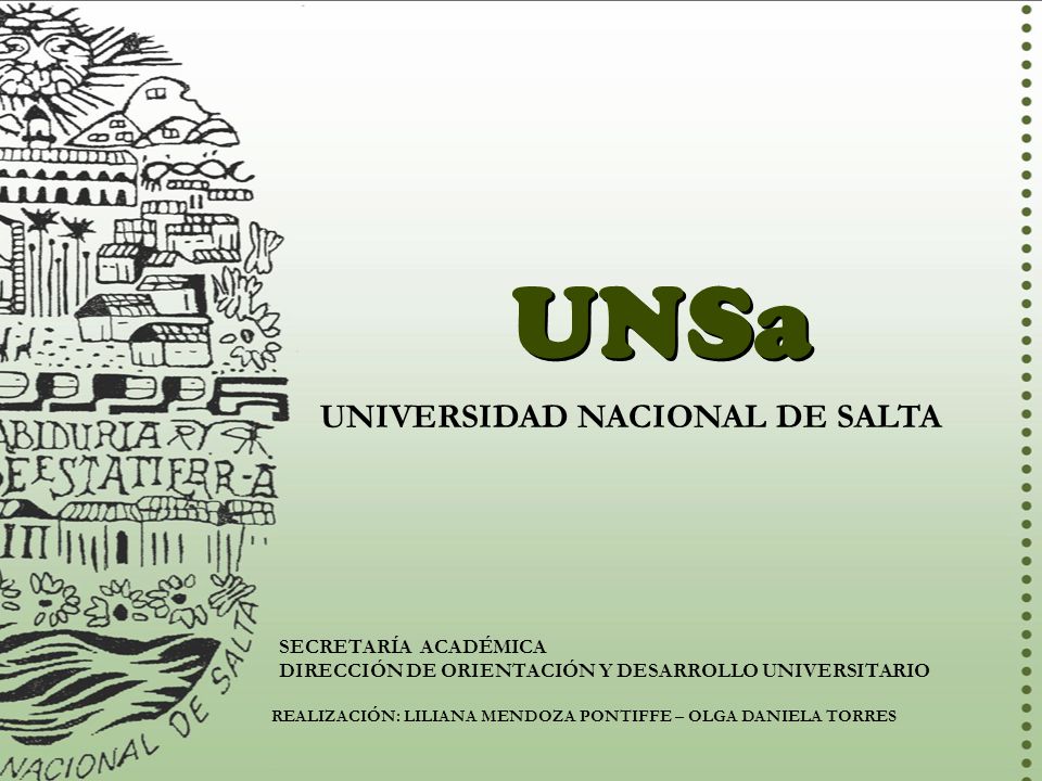 Unsa Universidad Nacional De Salta Secretaria Academica Ppt