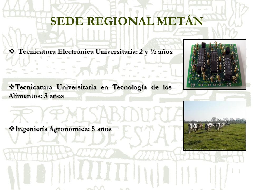 SEDE REGIONAL METÁN Tecnicatura Electrónica Universitaria: 2 y ½ años
