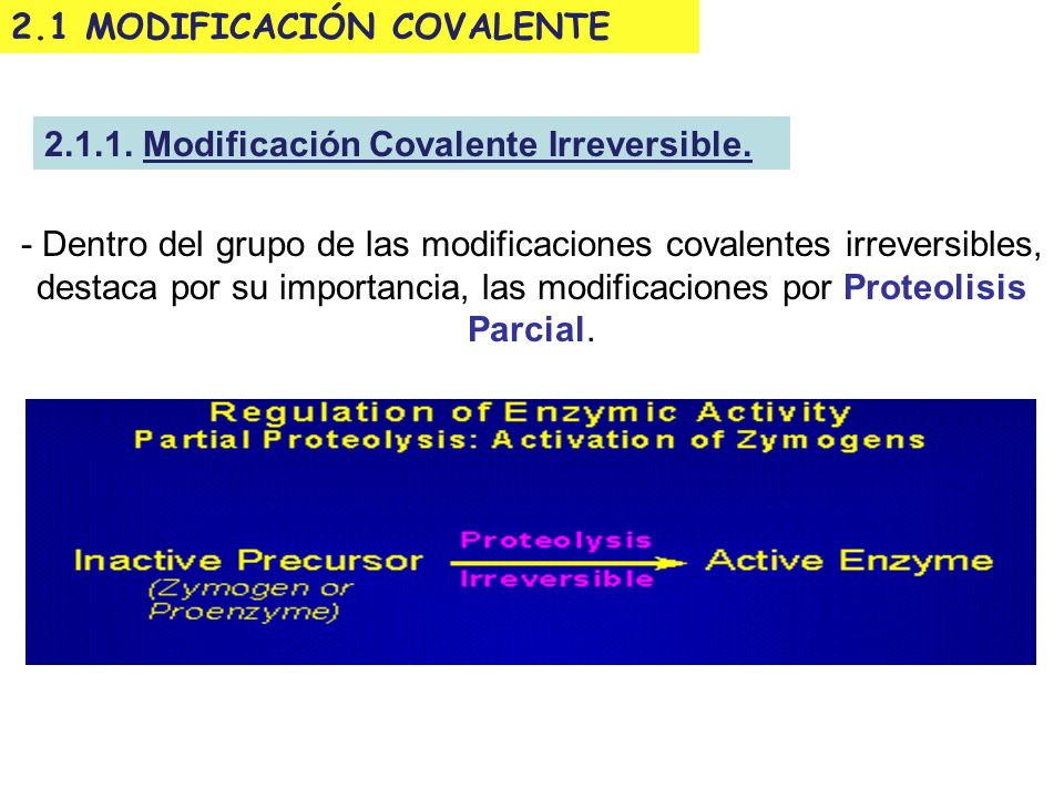 2.1 MODIFICACIÓN COVALENTE