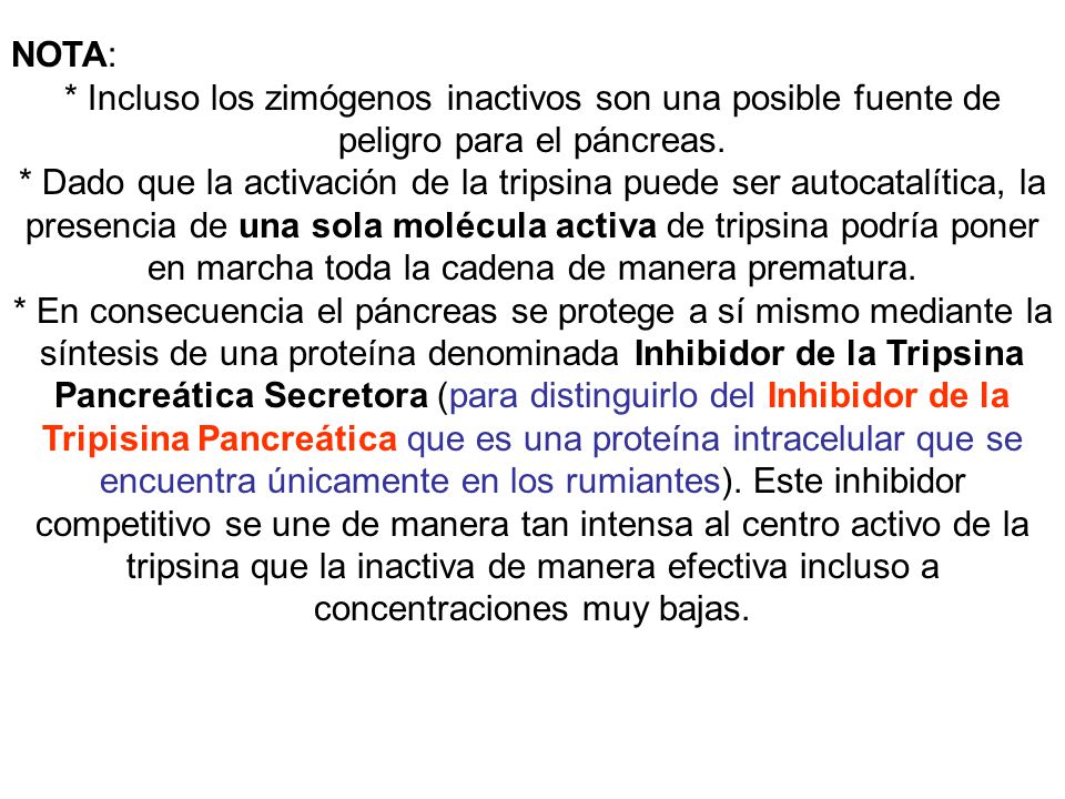 NOTA: * Incluso los zimógenos inactivos son una posible fuente de peligro para el páncreas.