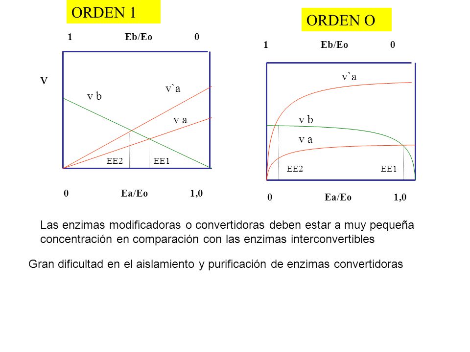ORDEN 1 ORDEN O v v`a v`a v b v a v b v a