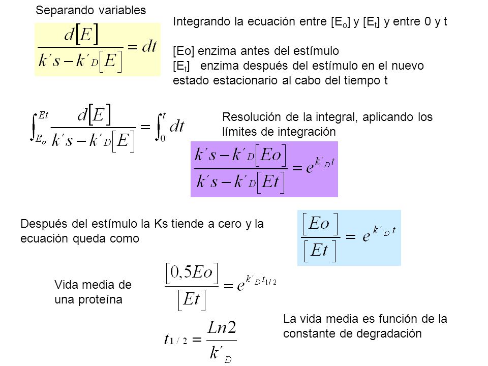 Separando variables Integrando la ecuación entre [Eo] y [Et] y entre 0 y t. [Eo] enzima antes del estímulo.