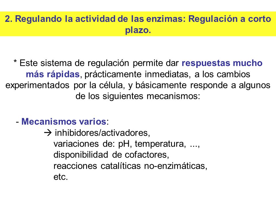2. Regulando la actividad de las enzimas: Regulación a corto plazo.