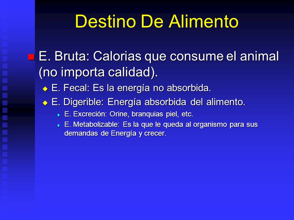 Destino De Alimento E. Bruta: Calorias que consume el animal (no importa calidad). E. Fecal: Es la energía no absorbida.