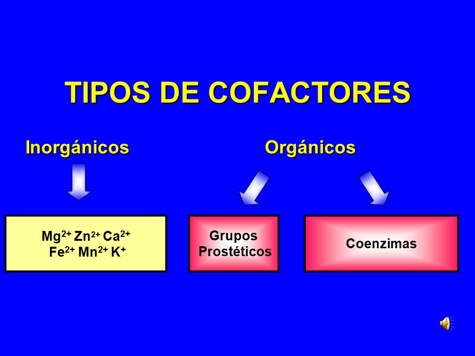 TIPOS DE COFACTORES Inorgánicos Orgánicos Mg2+ Zn2+ Ca2+ Fe2+ Mn2+ K+