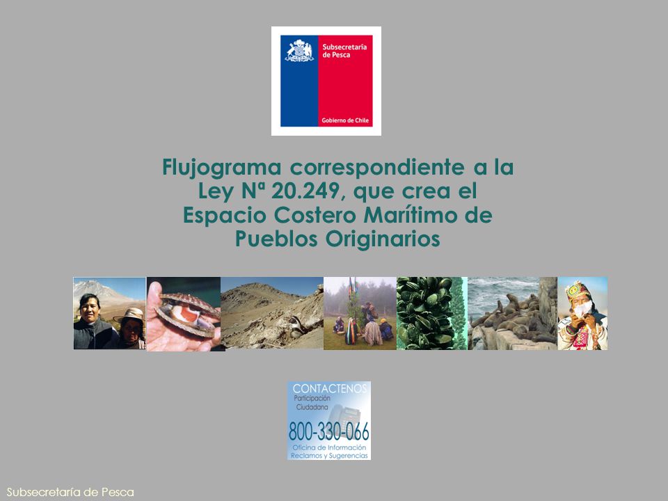 Flujograma correspondiente a la Ley Nª 20